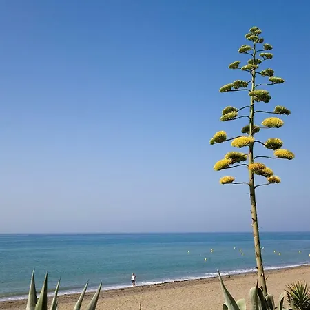 Heaven Penthouse 405 Apartment