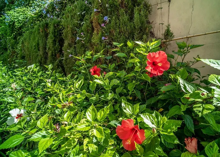 Heaven Penthouse 405 エステポナ