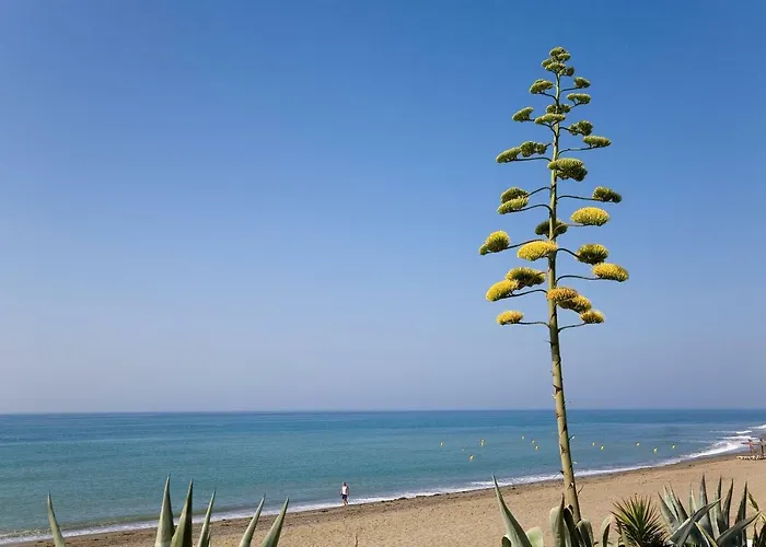 Heaven Penthouse 405 アパート