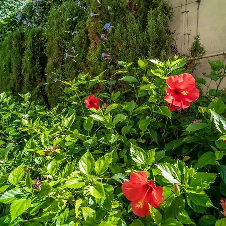 Heaven Penthouse 405 Estepona